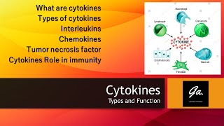 CYTOKINES Interleukins and their functions Interferons Chemokines Immunology [upl. by Avin]