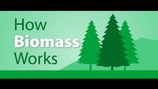 How Biomass works [upl. by Anertac153]