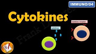 CYTOKINES  ILs INFs TNFs CSFs and Chemokines FLImmuno04 [upl. by Acirema]