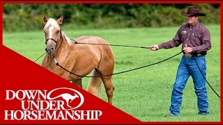 Clinton Anderson Training a Rescue Horse Part 1  Downunder Horsemanship [upl. by Gershom]