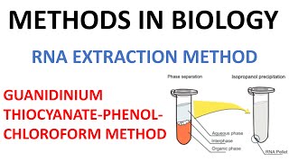 RNA extraction method  Guanidinium thiocyanate Phenol method [upl. by Enaed]