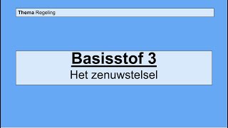 Havo 4  Regeling  Basisstof 3 Het zenuwstelsel [upl. by Southworth]