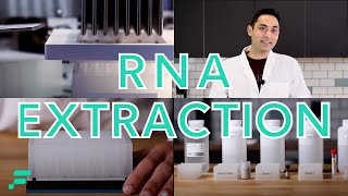 RNA Extraction Demonstration [upl. by Nats351]