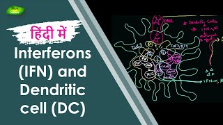 Interferons IFN और Dendritic cell के काम को समझें  Immune System  Basic Science Series Hindi [upl. by Herrick196]