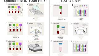 Interferon Gamma Release Assays IGRAs [upl. by Atiluj]