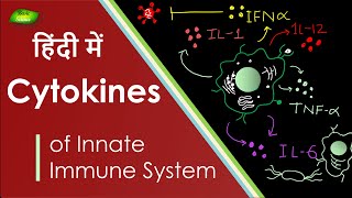 Cytokines क्या होते हैं समझिए  IL1 6 12 Cytokines  Basic Science Series Hindi [upl. by Yonit]