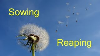 Sowing and Reaping Explained Bible [upl. by Janeva]