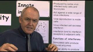 Immunity 6 Interferons protection from viral infections [upl. by Diraj]