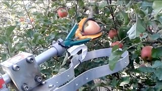 Automatic fruit picker demonstration by FF Robotics  IFTA 2017 [upl. by Ymmot67]