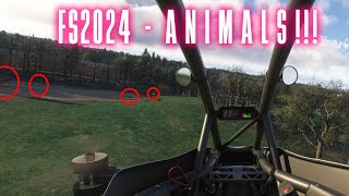 Finding ANIMALS in MSFS2024 [upl. by Tatman]