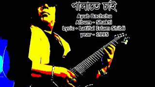 Palate Chai Ayub Bachchu [upl. by Elag]