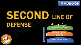 Innate immunity Second line of Defense An Overview FLImmuno06 [upl. by Cony263]