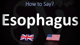 How to Pronounce Oesophagus CORRECTLY Meaning amp Pronunciation [upl. by Bonis]