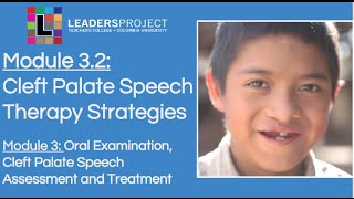 Module 32 Cleft Palate Speech and Feeding Cleft Palate Speech Therapy Strategies [upl. by Kumar]