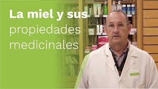 La MIEL 🍯 y sus Propiedades Medicinales [upl. by Grobe378]