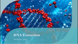 DNA Extraction [upl. by Lennahc]