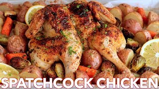 Roasted Spatchcock CHICKEN Recipe  ONE PAN Chicken Dinner [upl. by Fowler]