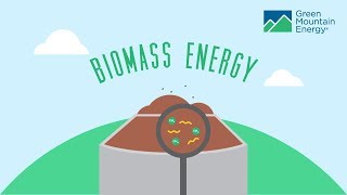 Renewable Energy 101 How Does Biomass Energy Work [upl. by Hinman]