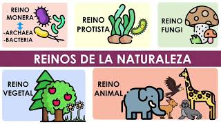 Los reinos de la naturaleza Características y ejemplos [upl. by Retsila]